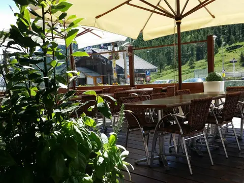 Transalpin