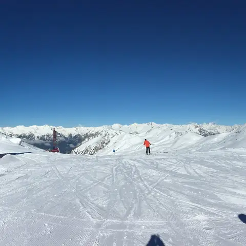 Esf Vars