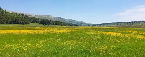Plateau de Caussols