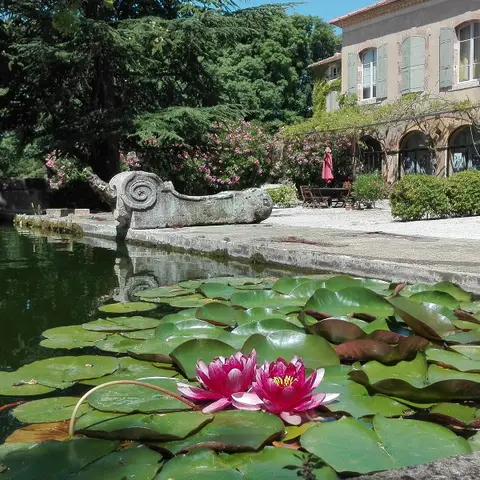 Chateau Saint-Esteve D'Uchaux