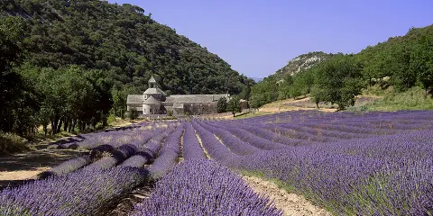 provencebiscuit.fr