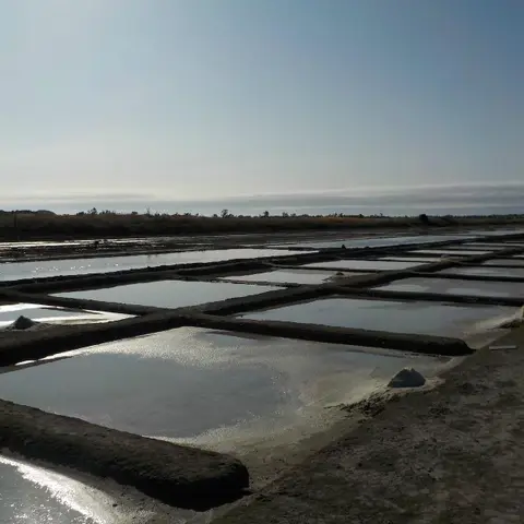 Le Grain de Sel