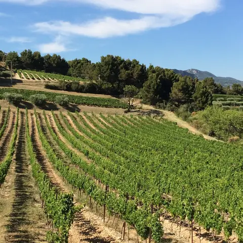 Domaine de Durban