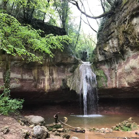 Eden Vert Bagnols En Foret