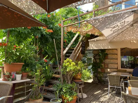 Bacchus Restaurant Cafe