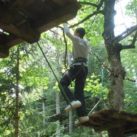 Jungle Laye