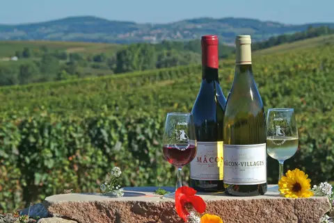 Domaine Marsaleix