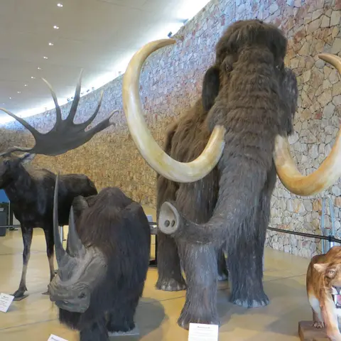 Musee de la Prehistoire Quinson