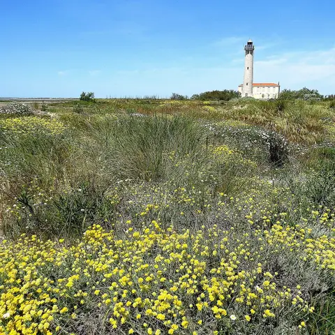 Plage privée Salin de Giraud