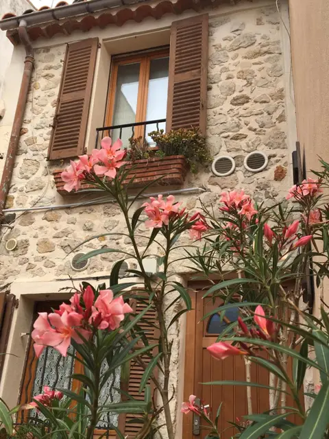 Maison Safranier / Villa Safranier