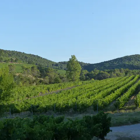 Les Vignerons de Roaix Seguret