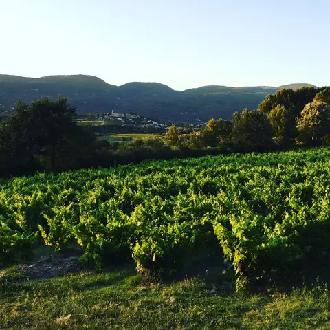Château Saint Pons