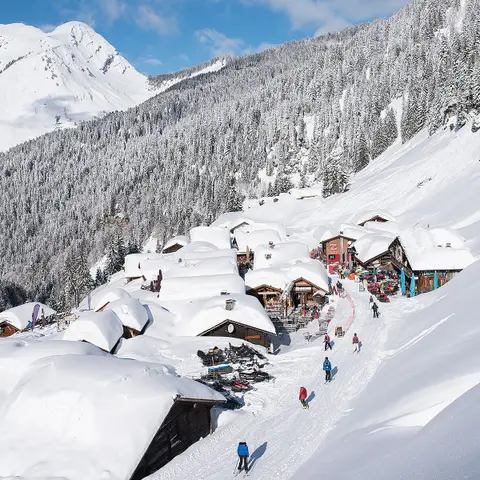 Snow Fever