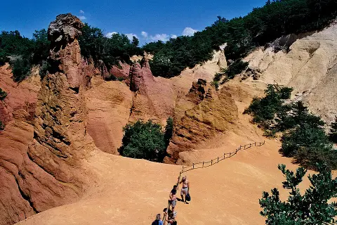 Le Provençal