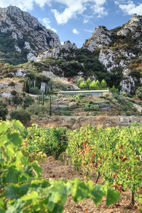 Domaine Hauvette