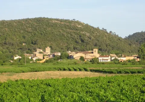 Les Vignerons de Correns