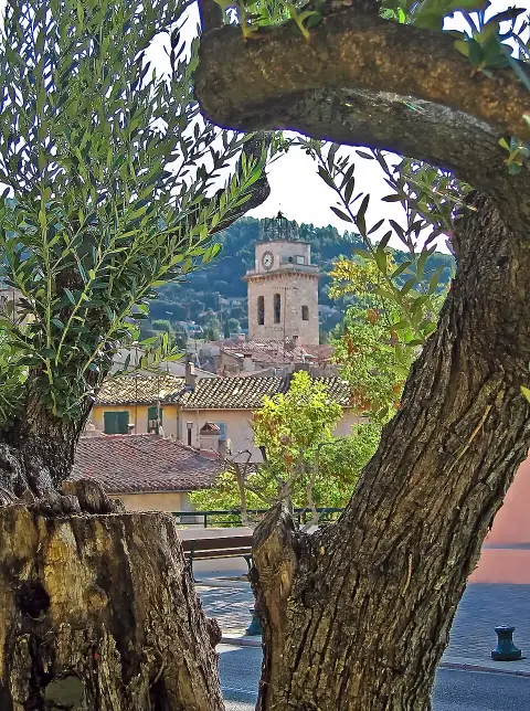 Le Patio d'Emmanuel