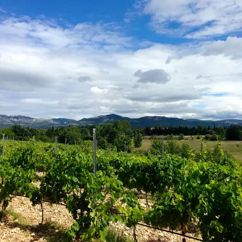 Domaine de Marotte