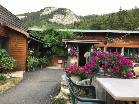 Le Caribou