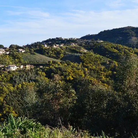 Massif de Tanneron