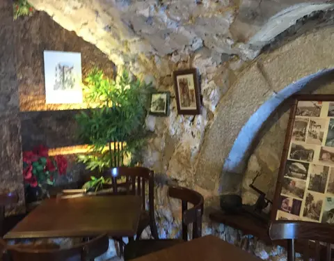 Le Cactus