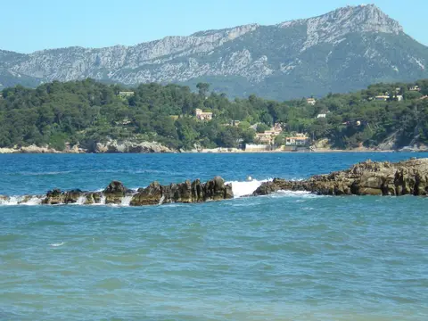 L'Oursinado