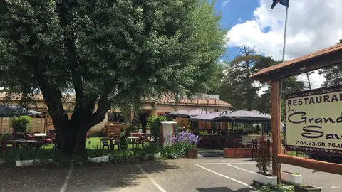 Le Grand Saule