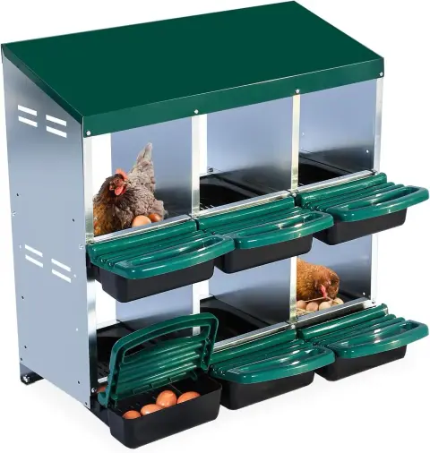 Chicken BOX