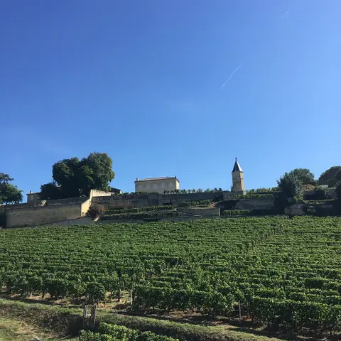 Clos La Menardiere
