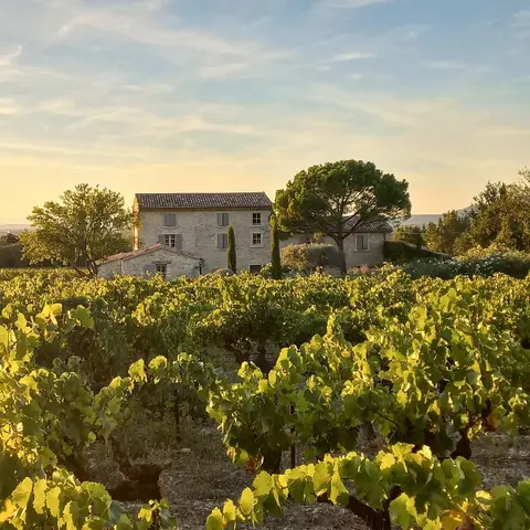 Terra Provincia - Le Cellier Saint Sidoine