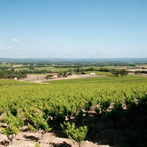 Domaine de Coste Chaude