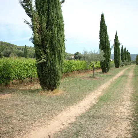 Domaine de Valcolombe