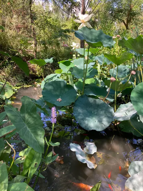 Jardin Botanique du Réal