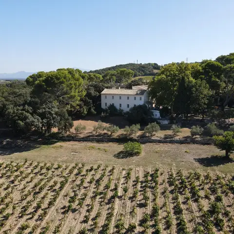 Château Maucoil