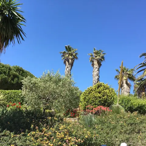 Parc de la Méditerranée
