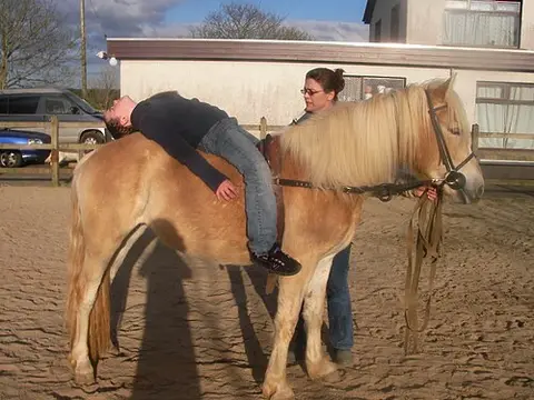 Equi-Passion
