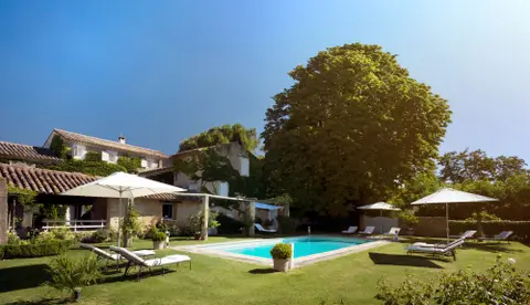 Domaine de Canfier - Huile d'olive biologique