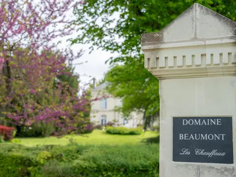 Domaine de Boiscieux - Exploitation de bouleaux