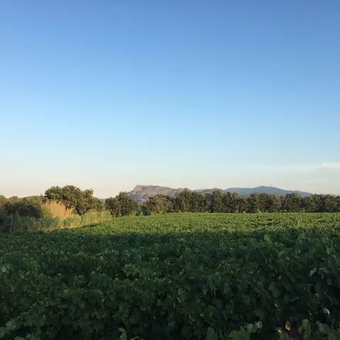 Les Jardins de La Rainette