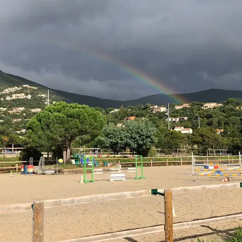 Les Ecuries de l'Eau Blanche - Cavalaire Equitation