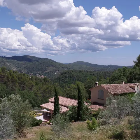 Olives en Provence