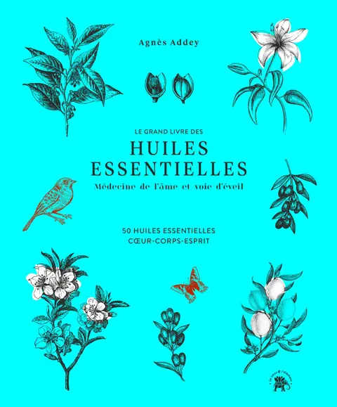 Magali Bernard - Plantes aromatiques et huiles essentielles