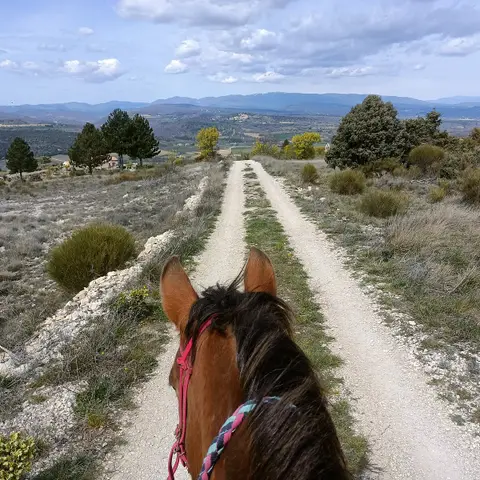 Centre équestre "Les Cavaliers du Ventoux"