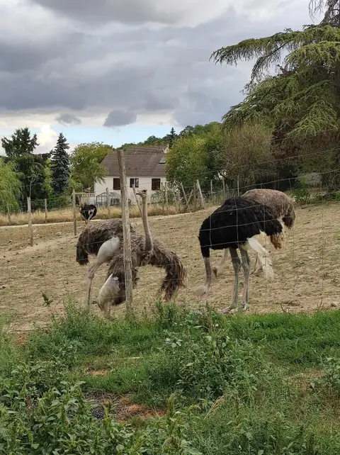 Ferme du Regain
