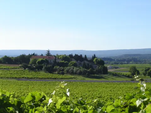 Domaine de l'Amauve (Groupes & Séminaires)