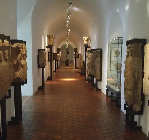 Musée Géologique et Archéologique