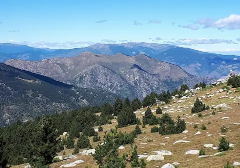 Les ruchers d'Estelle