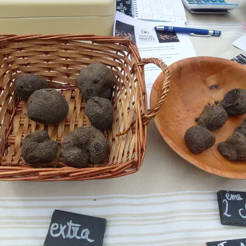Maison Valayer TRUFFES