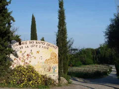 Vignoble Rasse