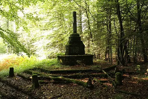 Forêt de Saint Lambert